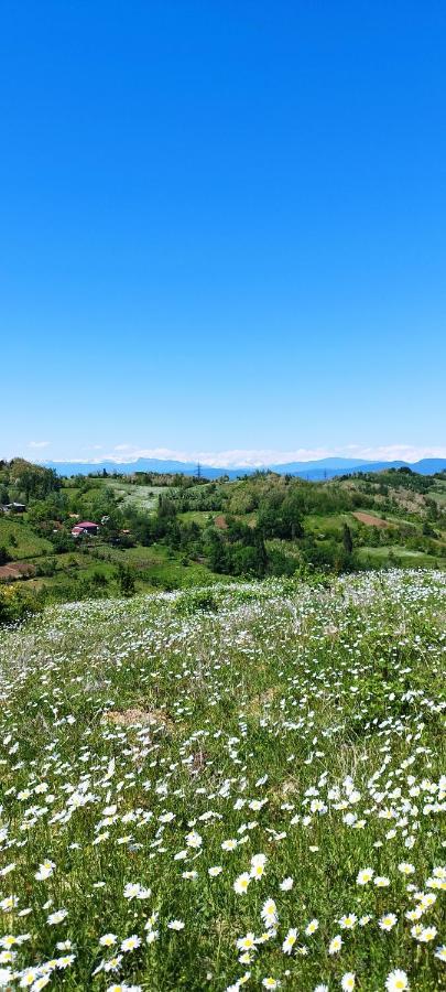 Dimis Ferdobi Hostel Εξωτερικό φωτογραφία
